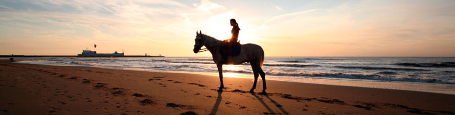 Животные-(29)