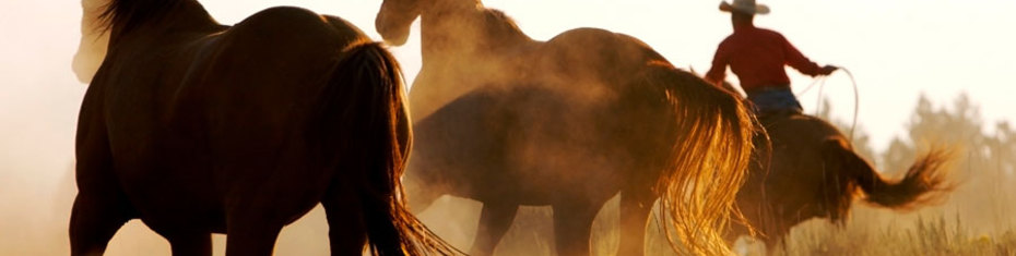 Животные-(32)