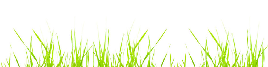 Животные-(43)