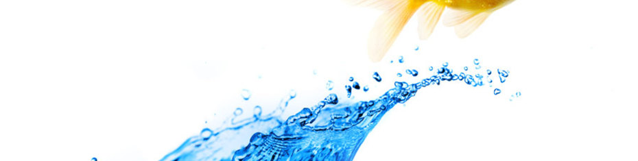 Животные-(60)