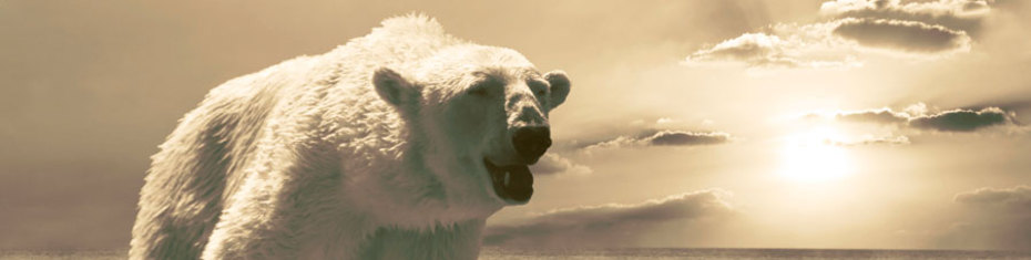 Животные-(64)