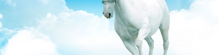 Животные-(92)