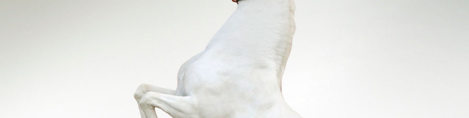 Животные-(94)