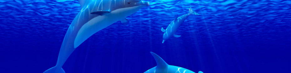 Животные-(102)