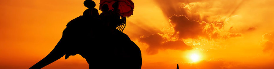 Животные-(140)