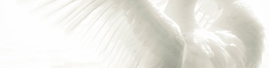 Животные-(144)