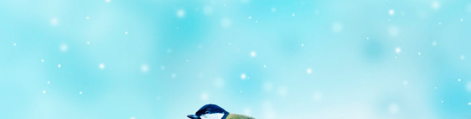 Животные-(155)