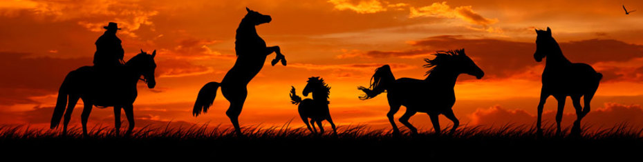 Животные-(165)