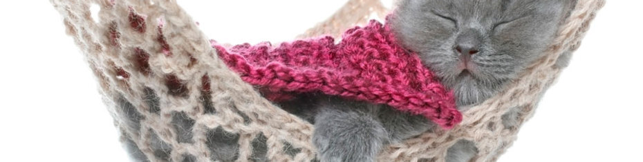 Животные-(187)