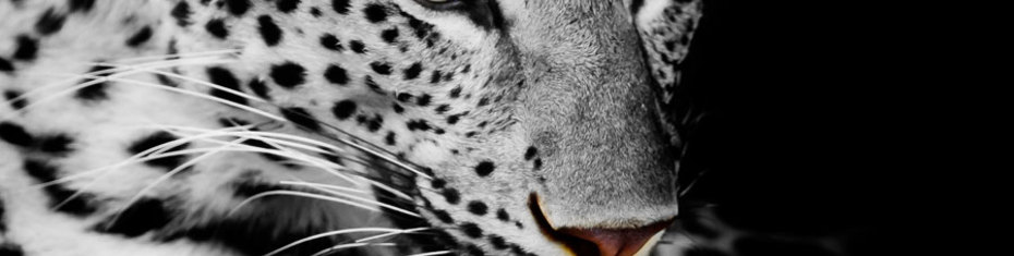 Животные-(197)