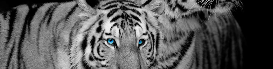 Животные-(198)