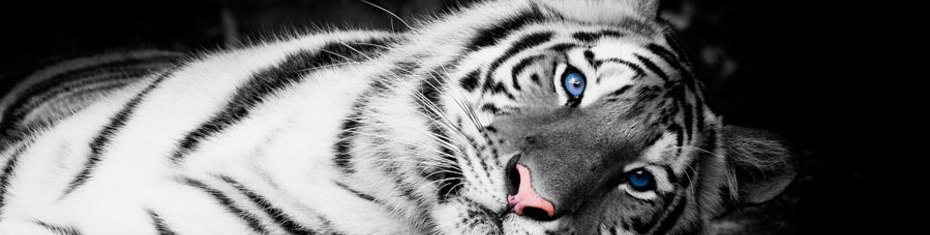 Животные-(202)