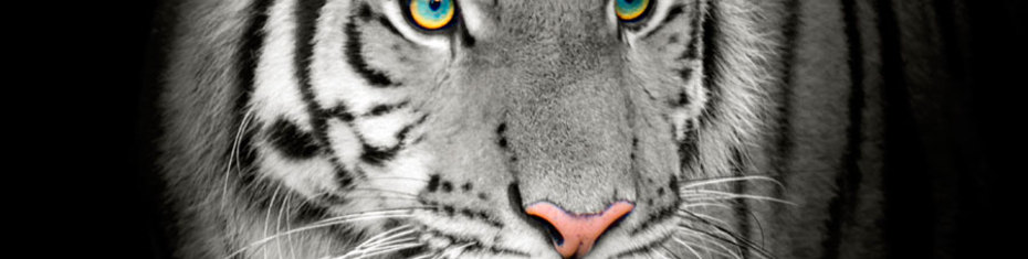 Животные-(208)