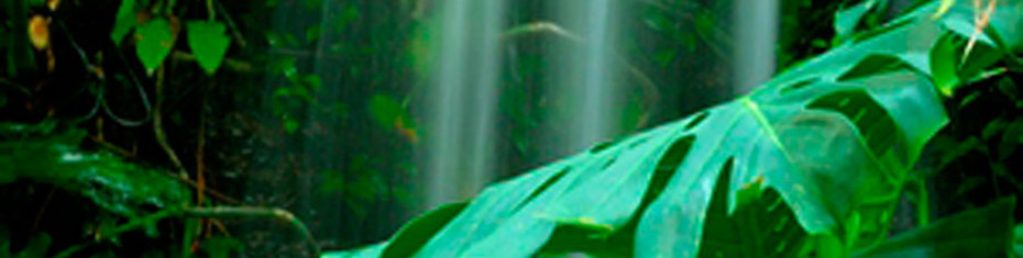 Водопады-(20)