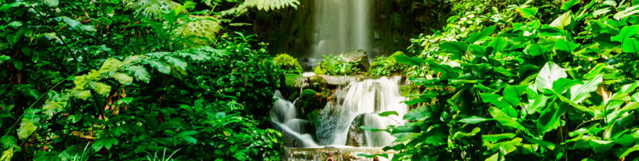 Водопады-(39)