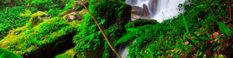 Водопады-(42)