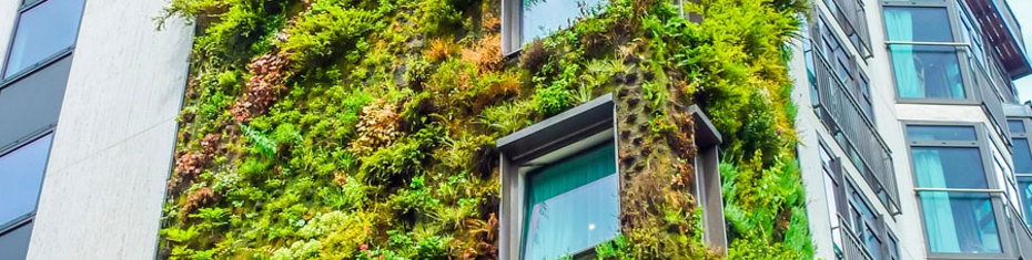 Архитектура-(81)