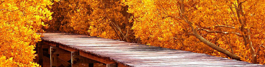 Природа (100)