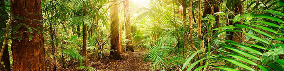 Природа (105)