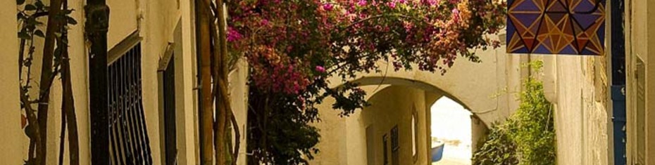 Средиземноморье-(59)