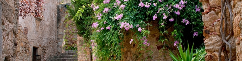 Средиземноморье-(70)