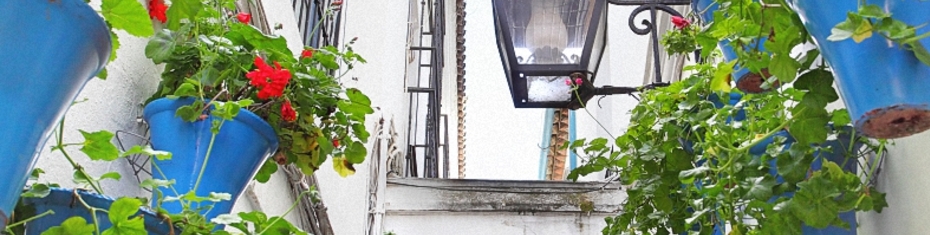 Средиземноморье-(99)