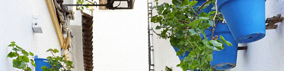 Средиземноморье-(101)