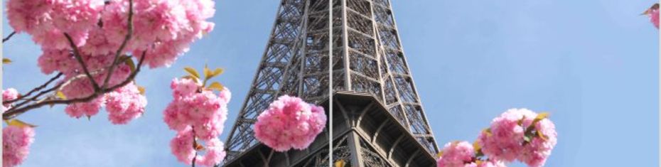 Архитектура (29)